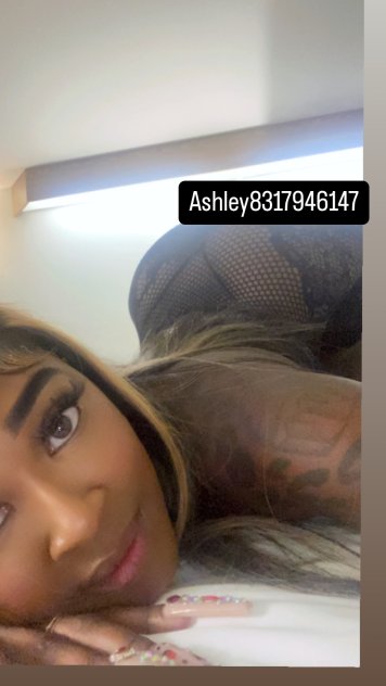 Independent companion Ashley💜 in San Francisco, California - HoneyAffair