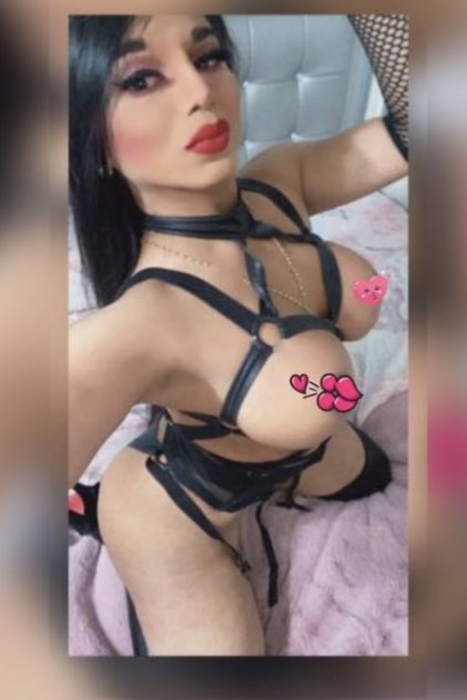 Thumbnail 12