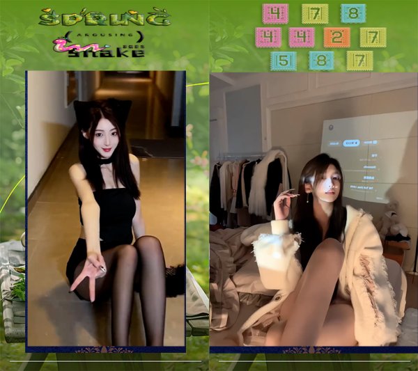 Thumbnail 15