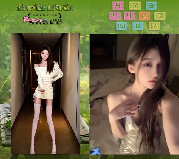 Thumbnail 12