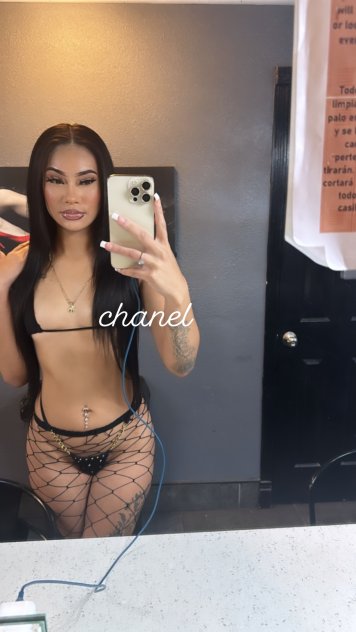 Independent companion Chanel Martin HERE TIL 2morrow in Los Angeles , California - HoneyAffair