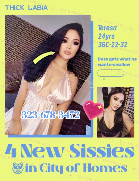 Thumbnail 15